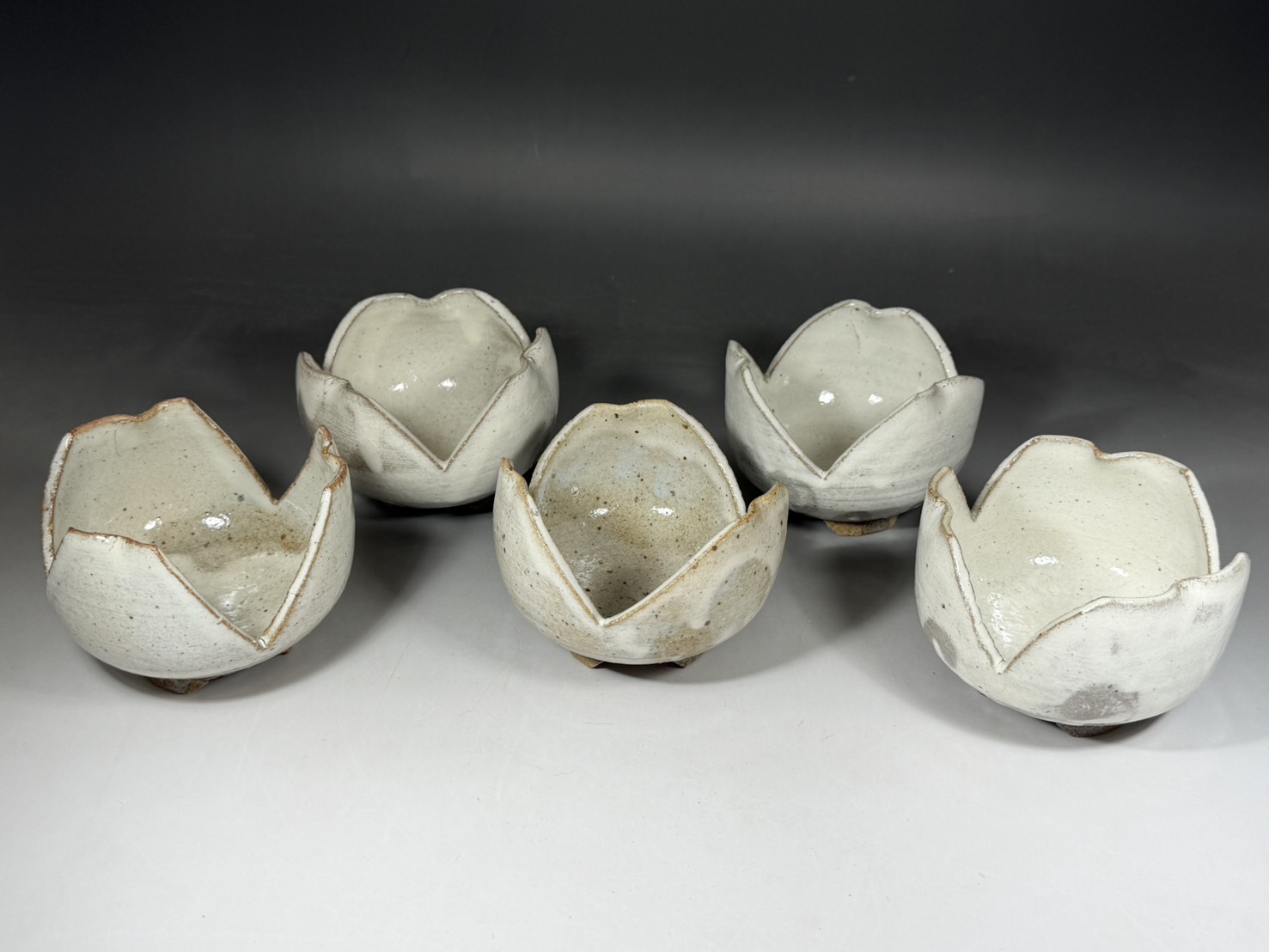 人間国宝 十二代 中里太郎衛門 (無庵) 唐津 粉引割山椒 向付