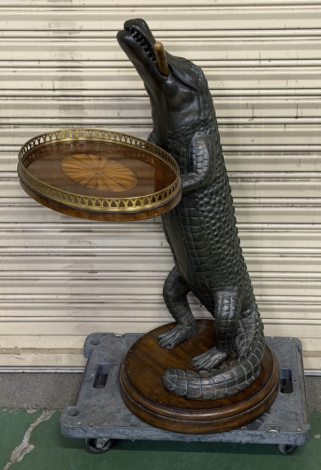 メイトランドスミス ワニ