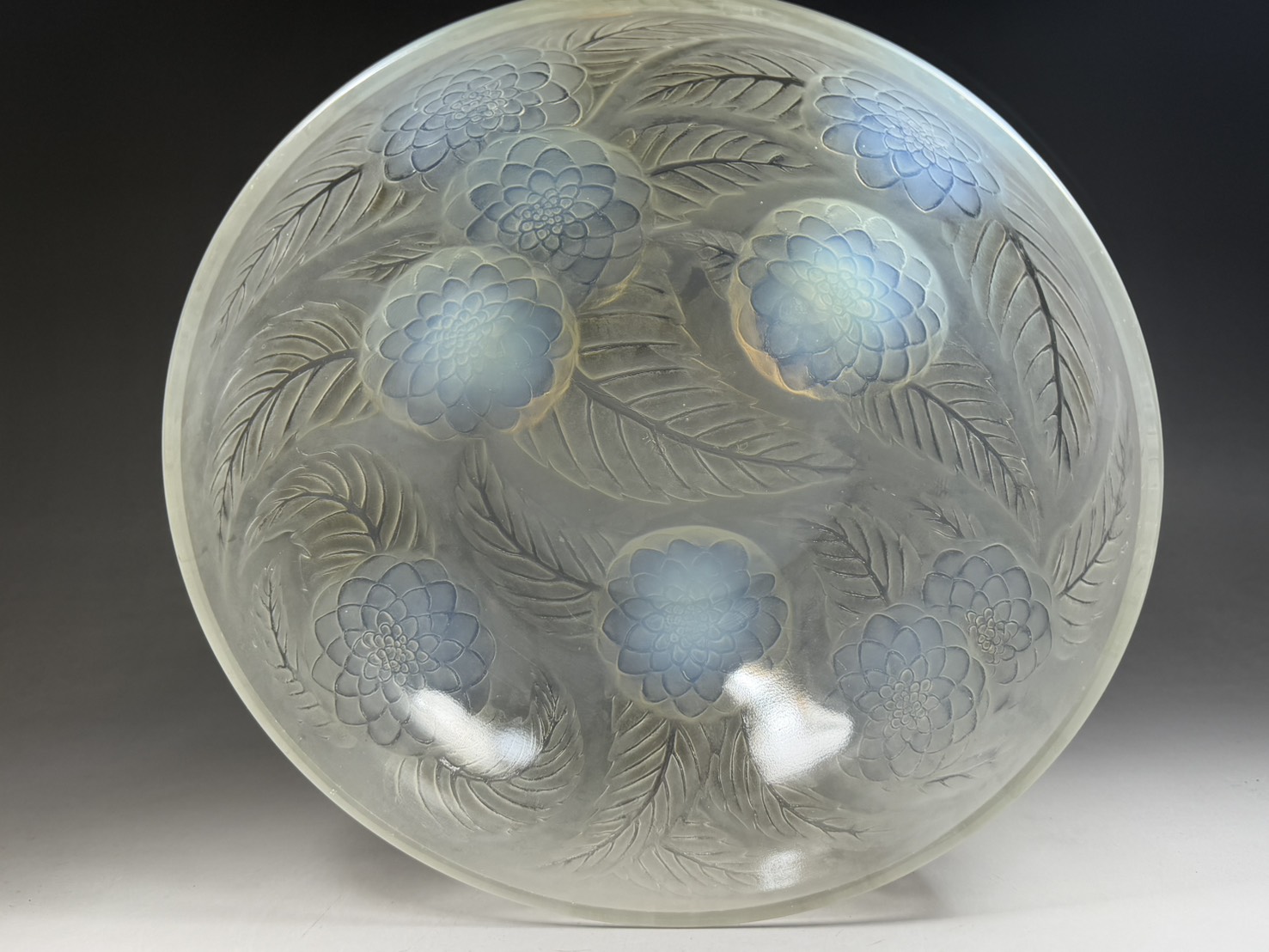 R.LALIQUE ルネ・ラリック 菊紋 硝子鉢 オパールセント